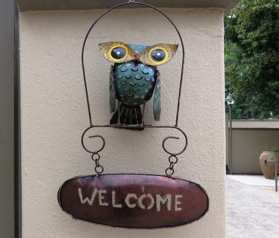 Dunton Guest House جوهانسبورغ المظهر الخارجي الصورة